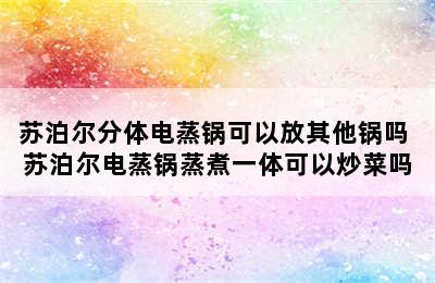 苏泊尔分体电蒸锅可以放其他锅吗 苏泊尔电蒸锅蒸煮一体可以炒菜吗